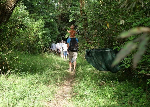 Photo : Visite de la Forêt Expérimentale à Floirac © université de Bordeaux