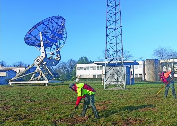 Photo : La plantation des pins maritimes a eu lieu le 13 et 14 février 2023 © université de Bordeaux