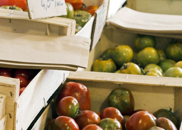 Photo : Les fruits et légumes présents dans les panier campus sont proposés par des maraîchers locaux © Université de Bordeaux 