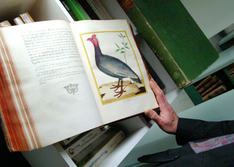 Photo : Vue générale du livre Histoire naturelle © Université de Bordeaux